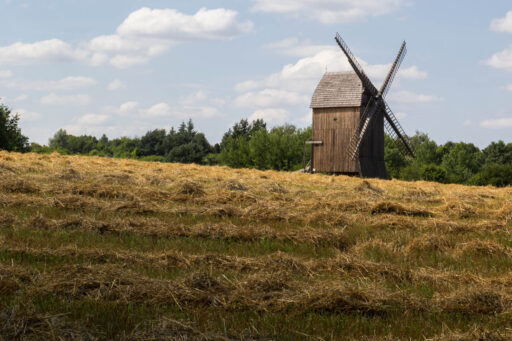 Wiatraki w&nbsp;Skansenie w&nbsp;Olsztynku – zobacz, dotknij, podziwiaj